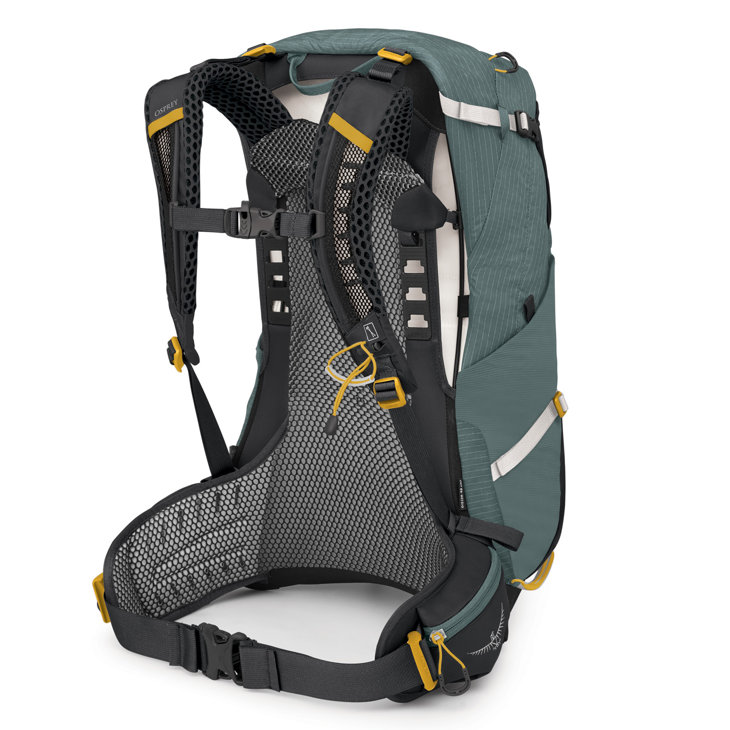 OSPREY Wander/Trekkingrucksack Sirrus 24 Succulent Green Abbildung 2