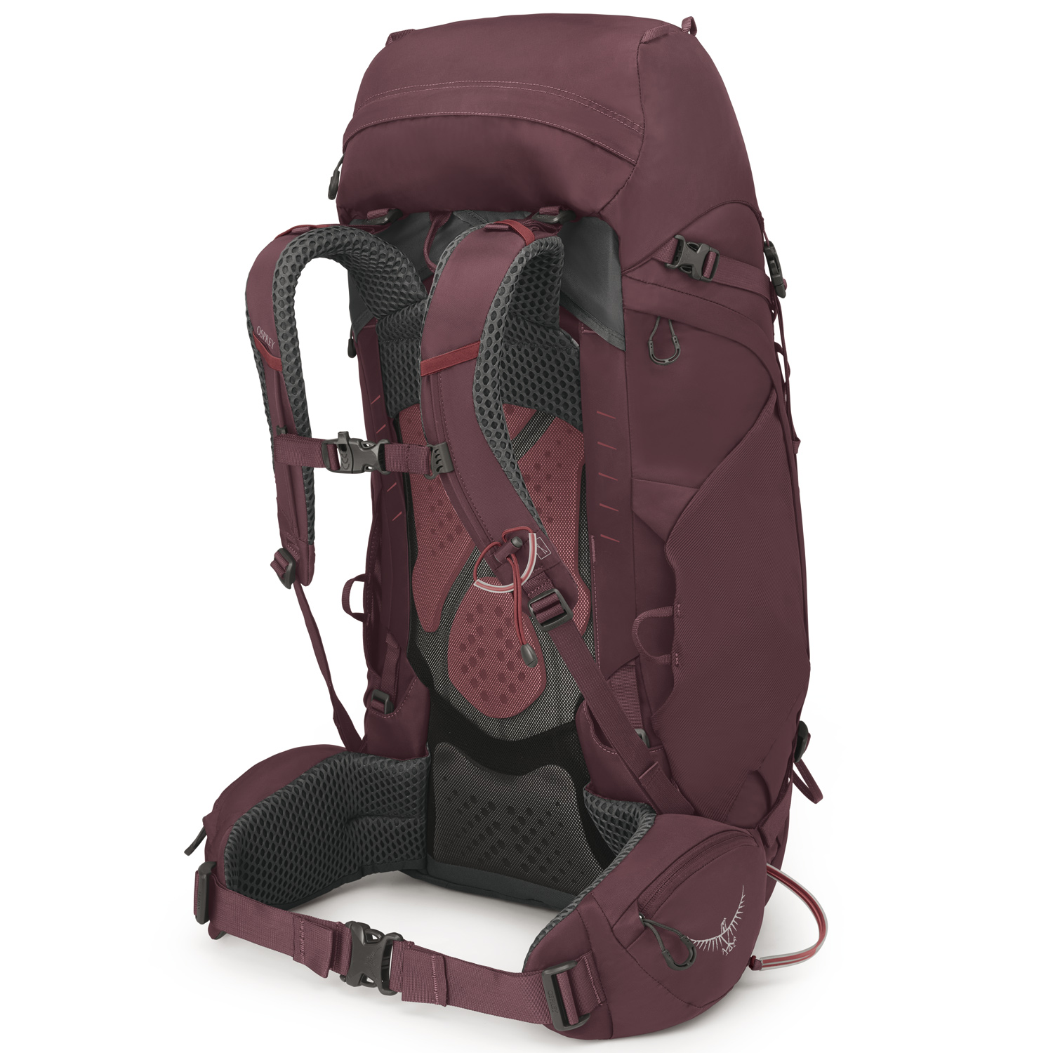 OSPREY Trekking/Wanderrucksack WM/L Kyte 48 Elderberry Purple