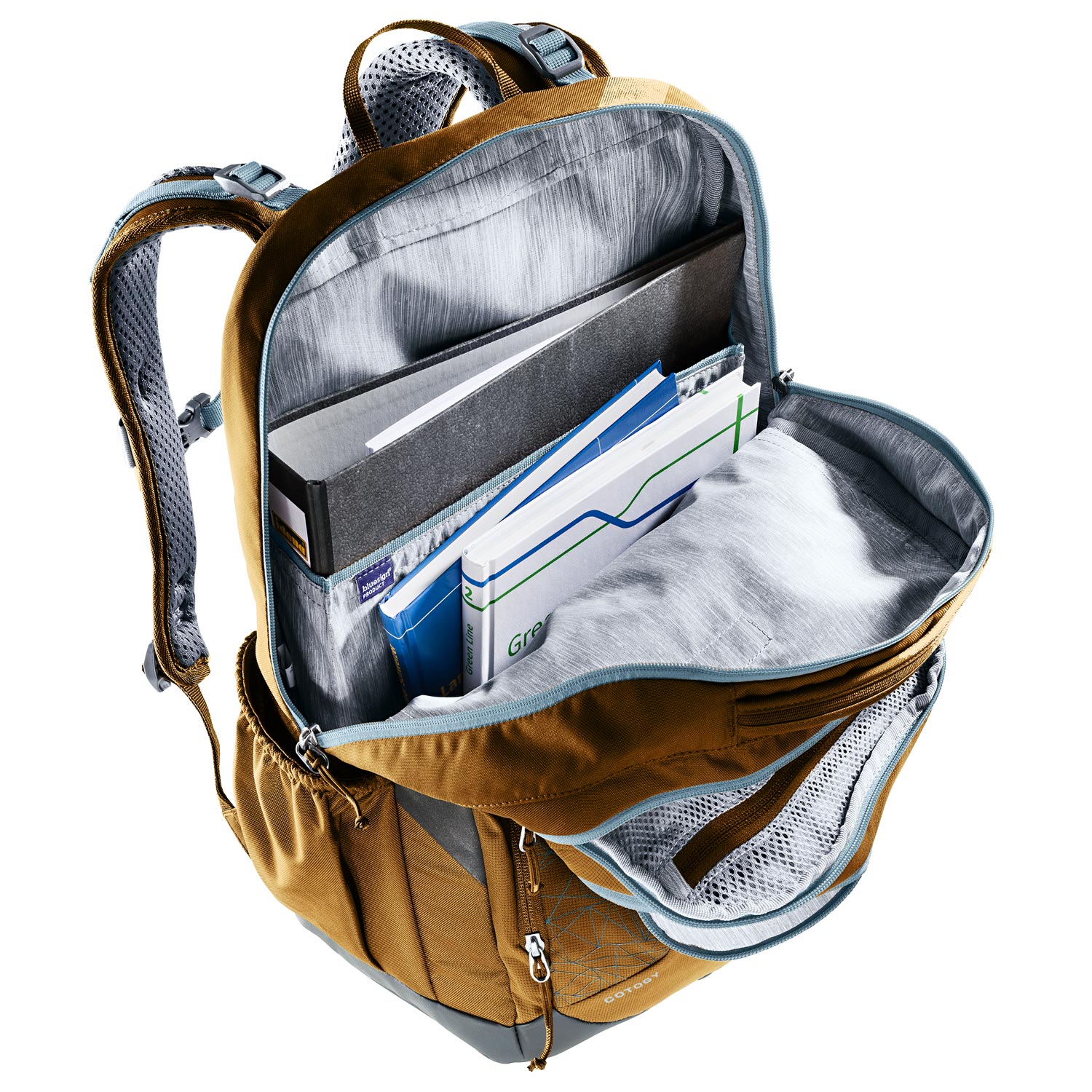 Deuter Schul-/Freizeitrucksack Cotogy Almond