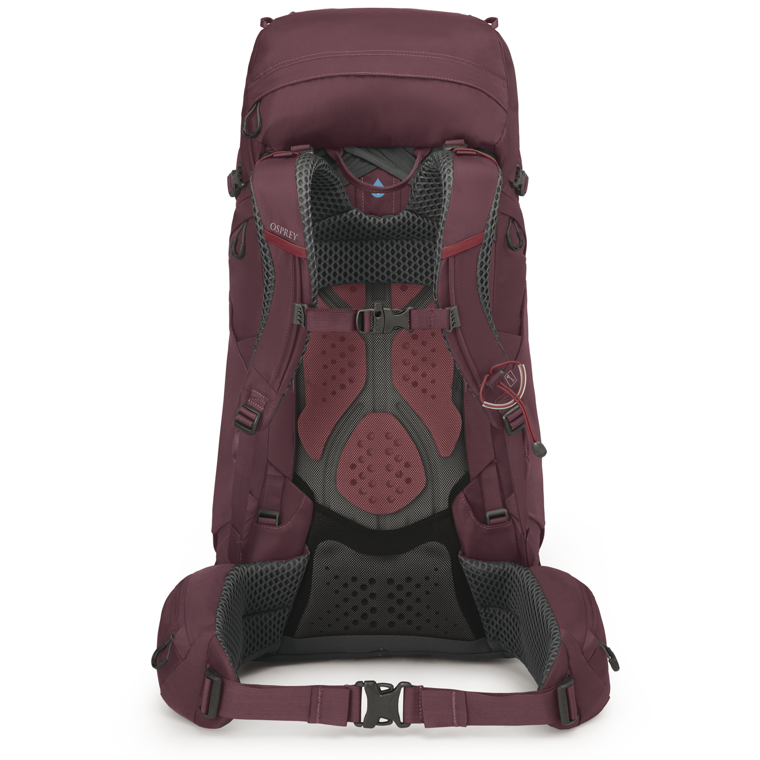 OSPREY Trekking/Wanderrucksack WM/L Kyte 48 Elderberry Purple