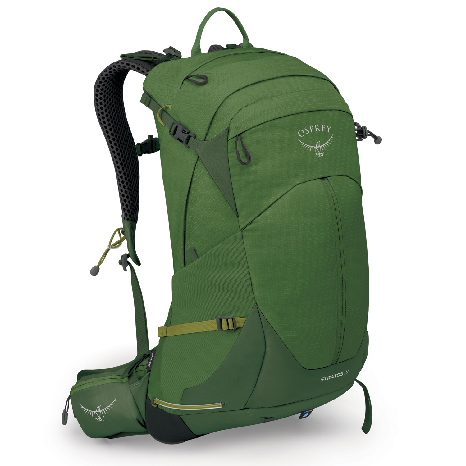 OSPREY Wander/Trekkingrucksack Stratos 24 seaweed/matcha green