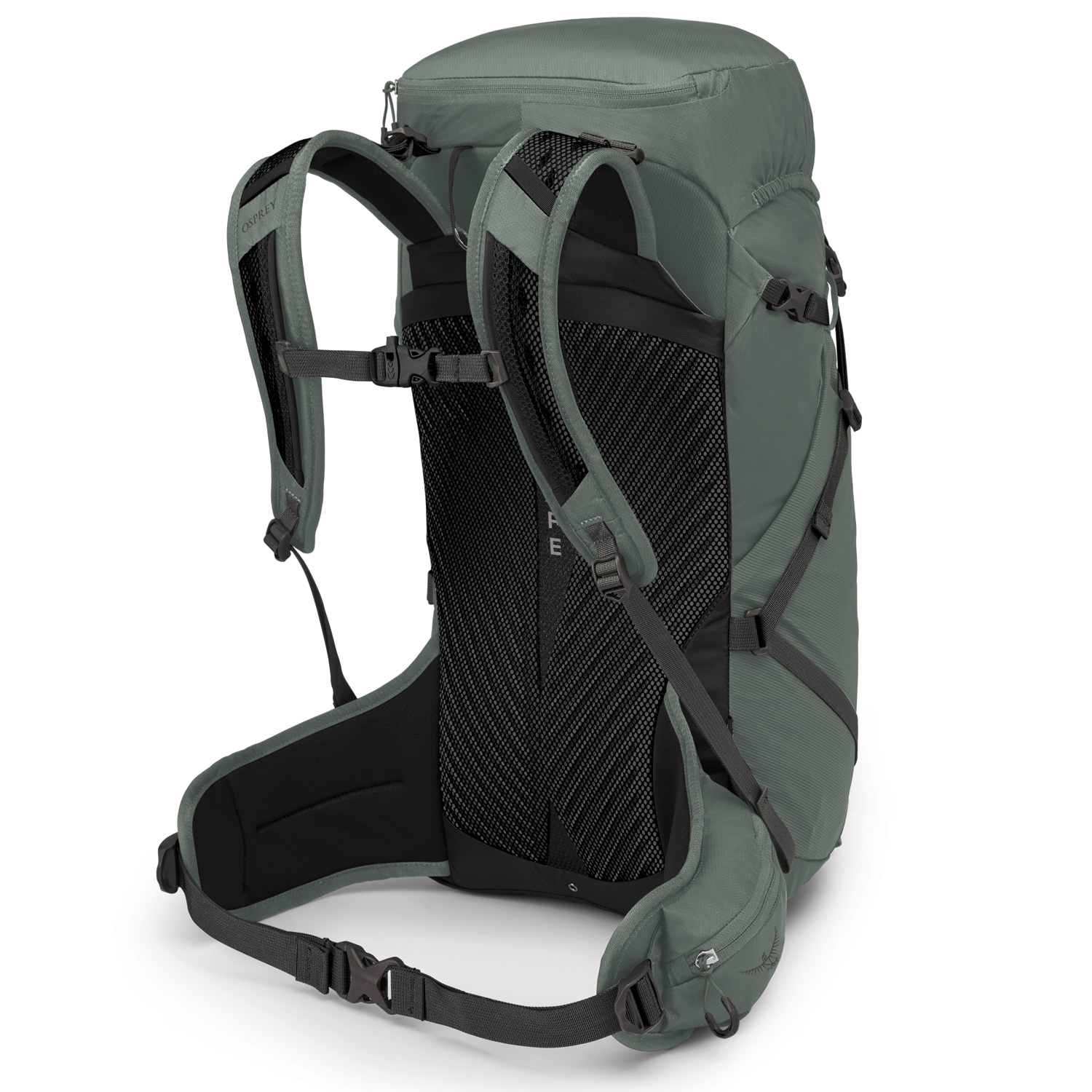 OSPREY Wanderrucksack M/L Sportlite 30 Pine Leaf Green