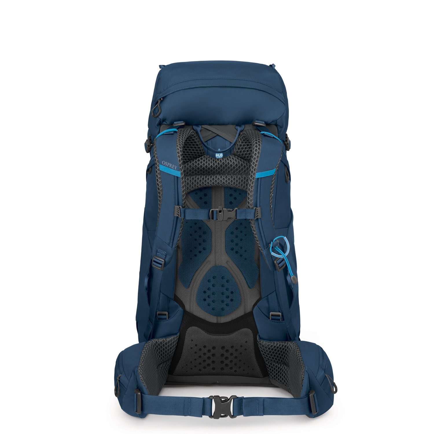 OSPREY Wanderrucksack L/XL Kestrel 48 Atlas Blue Abbildung 2