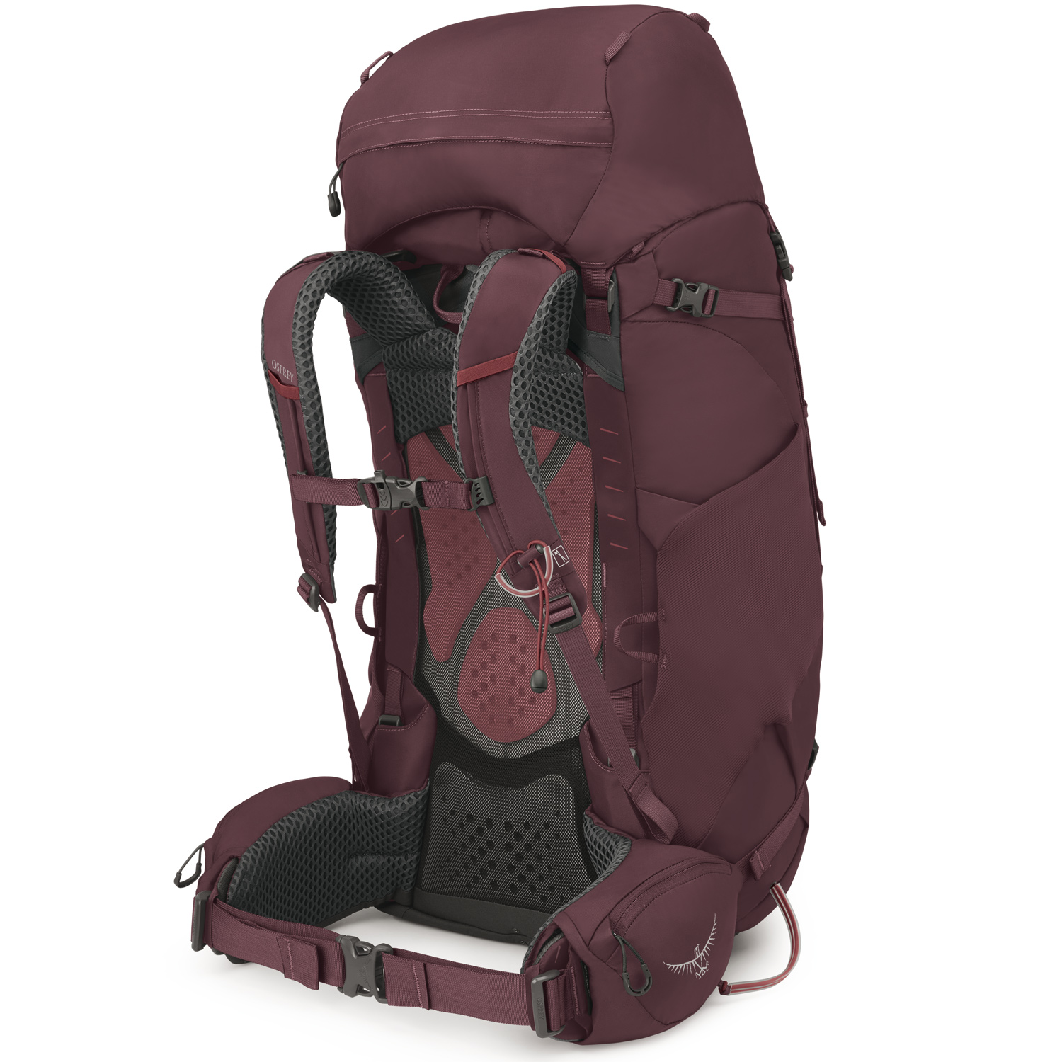 OSPREY Trekking/Wanderrucksack WM/L Kyte 68 Elderberry Purple