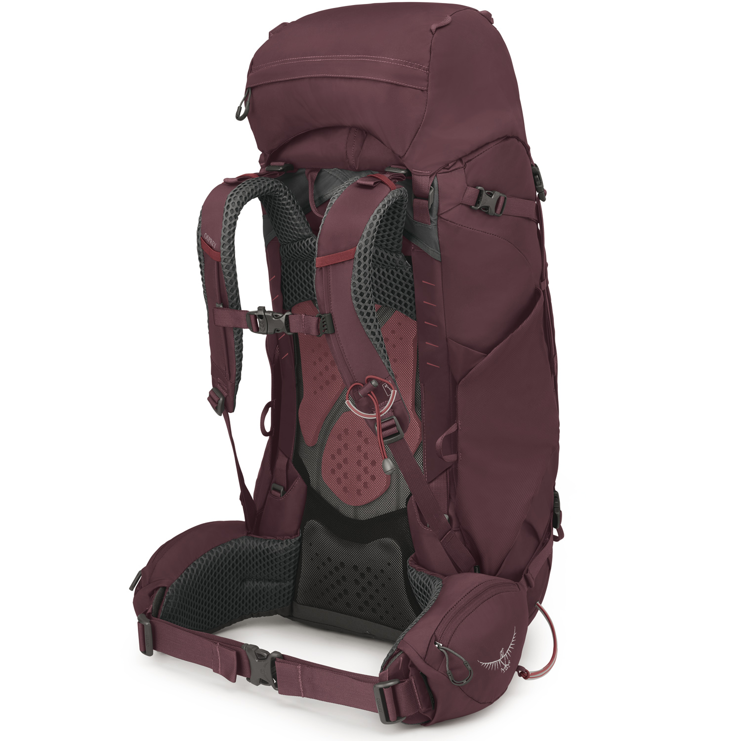 OSPREY Trekking/Wanderrucksack WM/L Kyte 58 Elderberry Purple