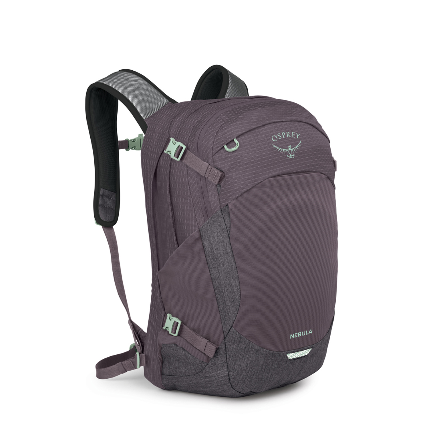 graphite purple