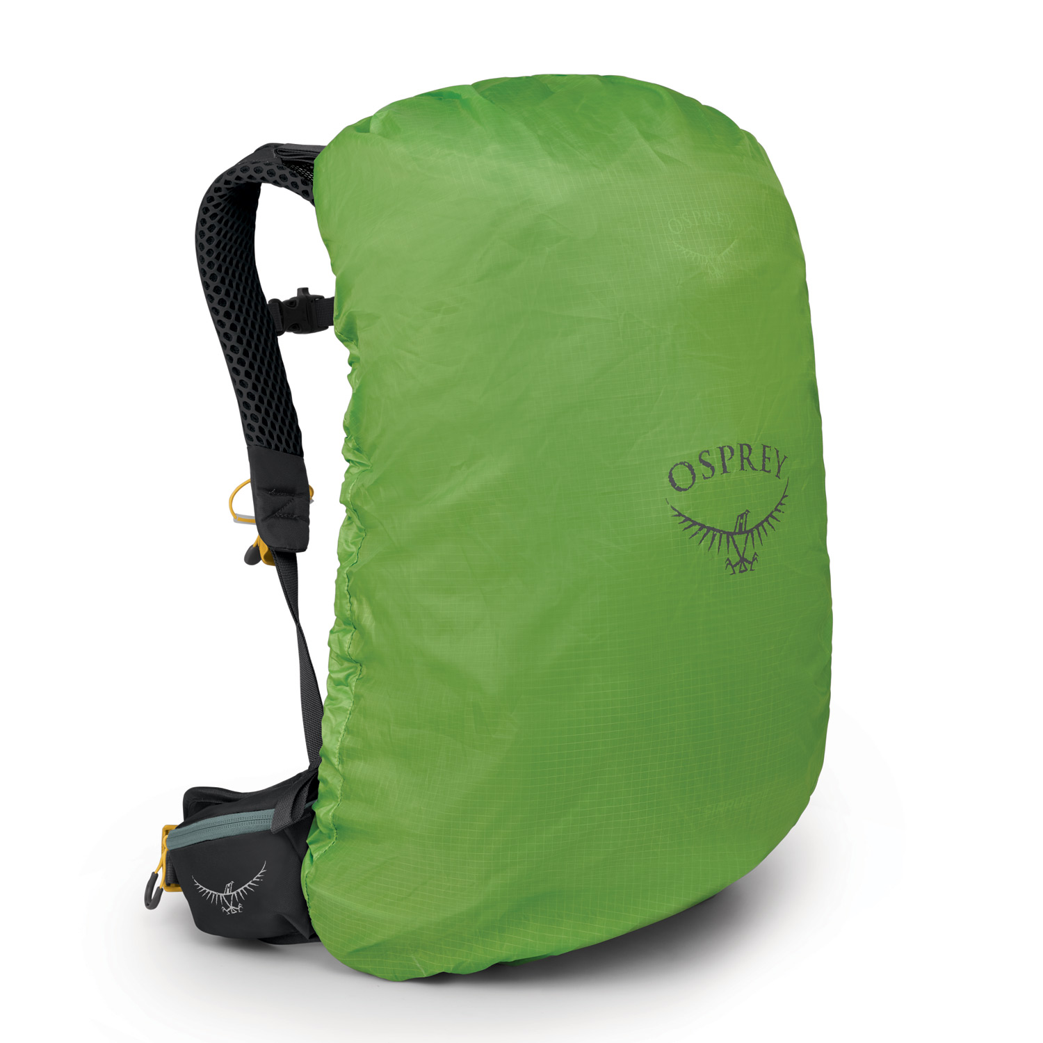 OSPREY Wander/Trekkingrucksack Sirrus 24 Succulent Green Abbildung 3