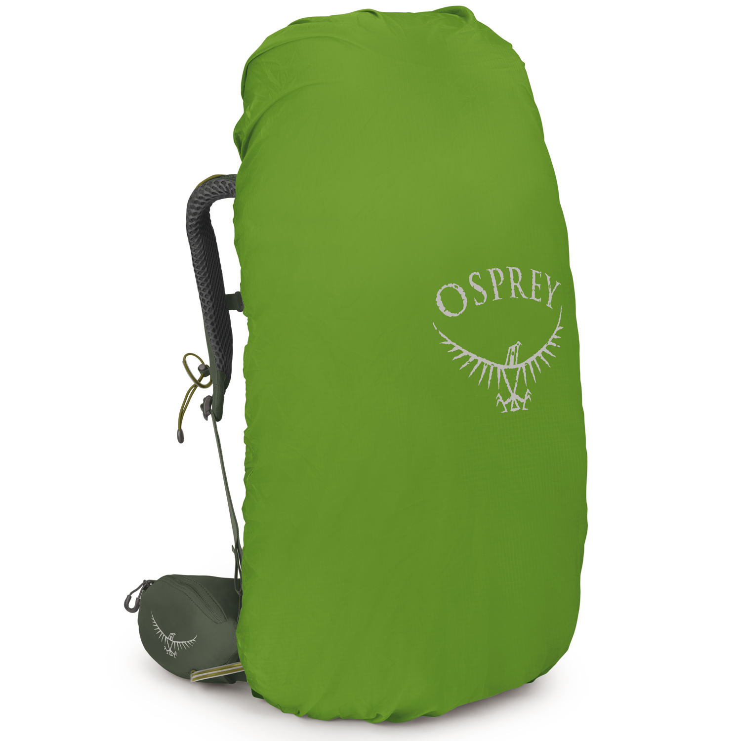 OSPREY Trekking/Wanderrucksack S/M Kestrel 58 Bonsai Green